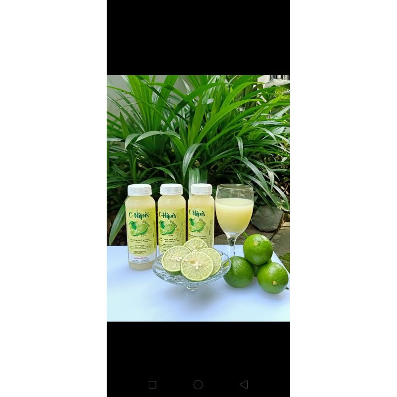 

CNIPIS 250ml asli jeruk nipis