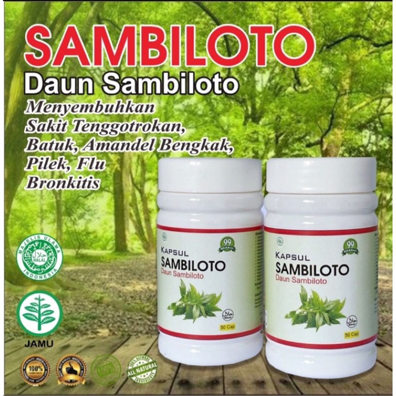 sambiloto herbal kapsul | sambiloto herbal | sambiloto 50 kapsul