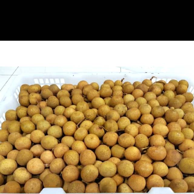 

Lengkeng Bangkok Thailand Super 1 kg