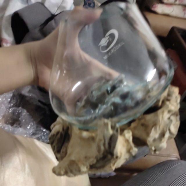 Glass On Wood Vase S - Kaca D12cm / Pot Kaktus / Pot Kecil / Aquarium / Kaca Tiup