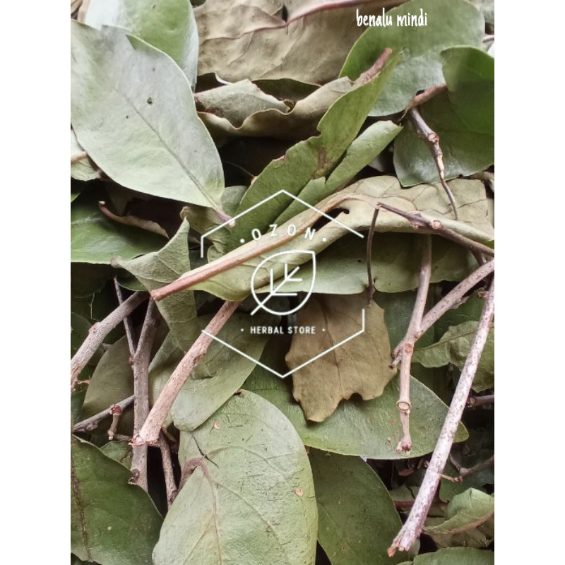 

Daun Benalu Manganeuh Mindi Kering Kemasan 1kg
