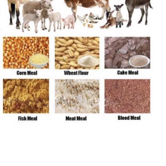 ❆ Tepung Kulit Sotong Halus kemasan 1 kg -proses cuci bersih/ Tepung Sotong Campuran Pakan Ternak Ka