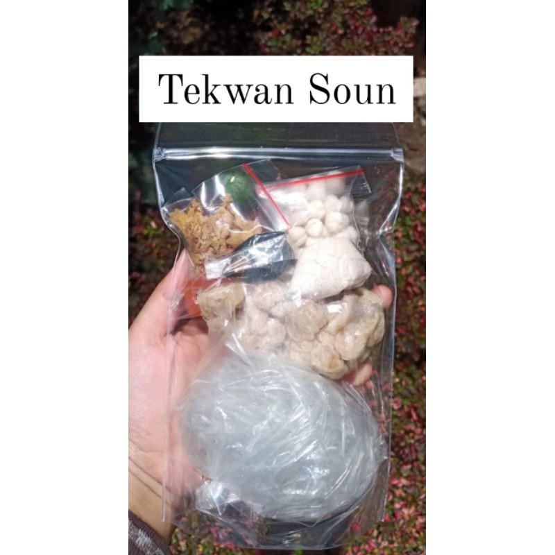 

Tekwan Soun Instan