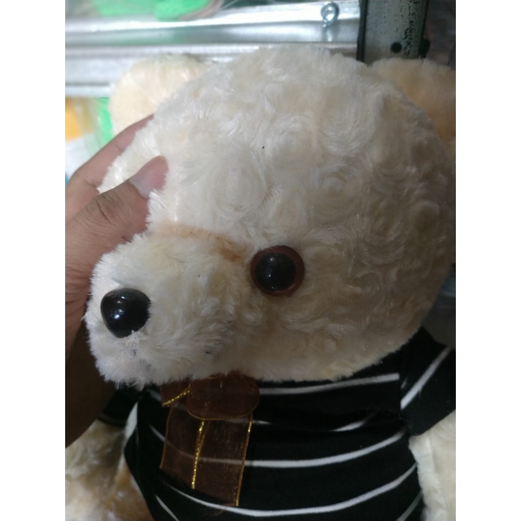 BONEKA TEDDY BEAR PAKAI BAJU BONEKA BERUANG