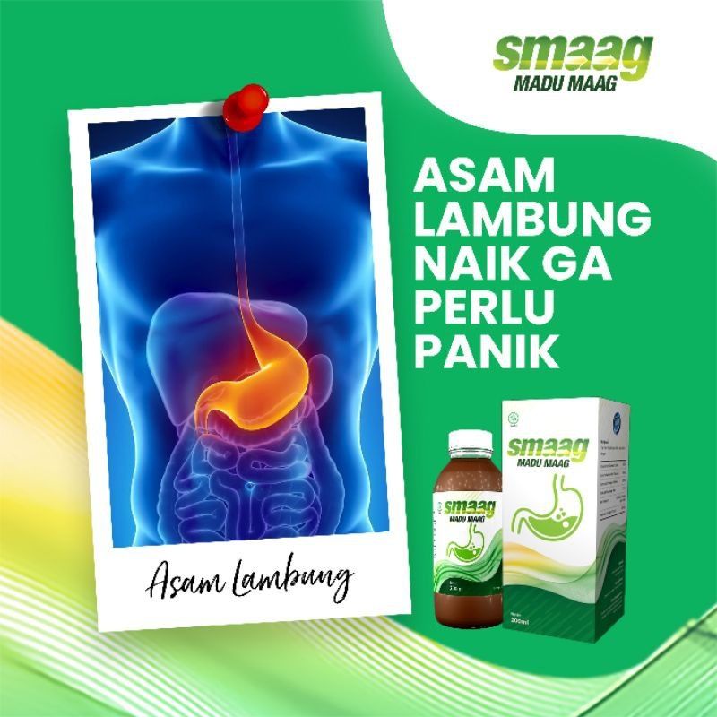 MADU SMAAG ASLI OBAT LAMBUNG KRONIS KANKER LAMBUNG