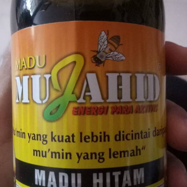 

Madu pahit kalimantan mujahid