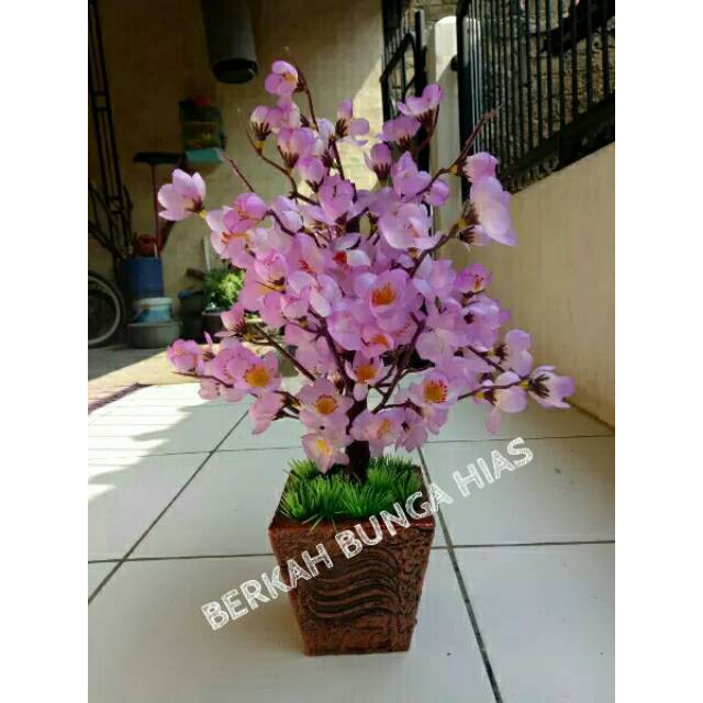 

Jual Bunga hias plastik sakura bunga sakura sakura murah Murah