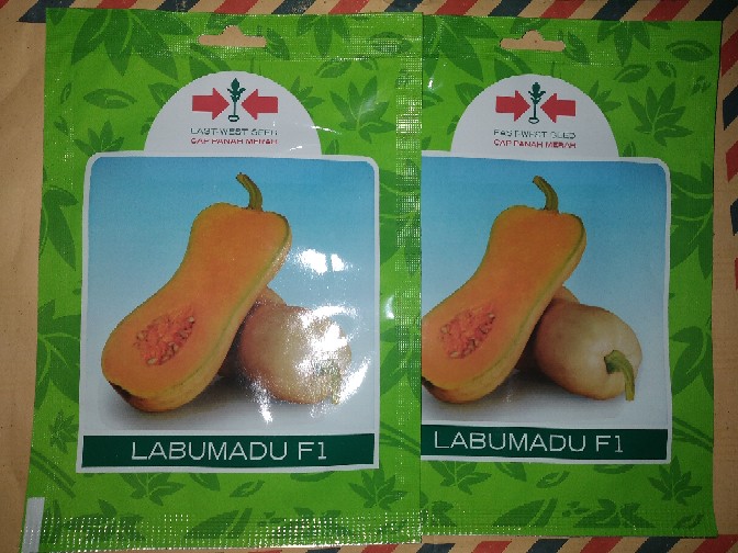 Benih Bibit Labu Madu Labu Madu F1 Isi(10btr)