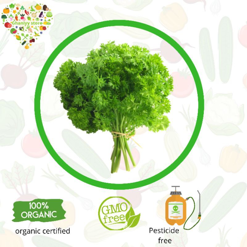 

Sayur Organik Bersertifikat - Parsley Organik 100 gram