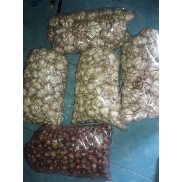 

Bawang kating 1kg kualitas bagus