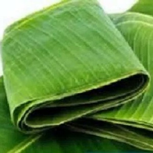 

Daun Pisang Fresh