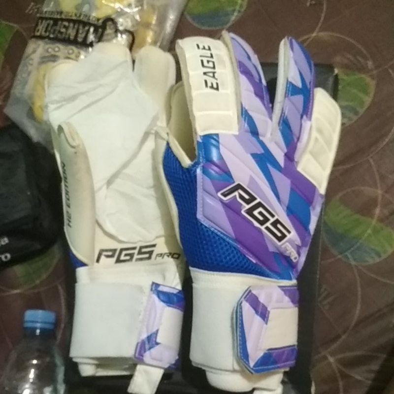 Pgs pro eagle H2