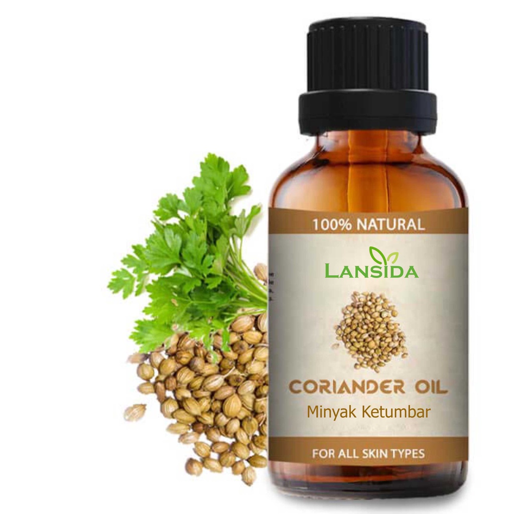 Coriander Essential Oil 100% Alami Minyak Atsiri Biji Ketumbar Coriandrum sativum