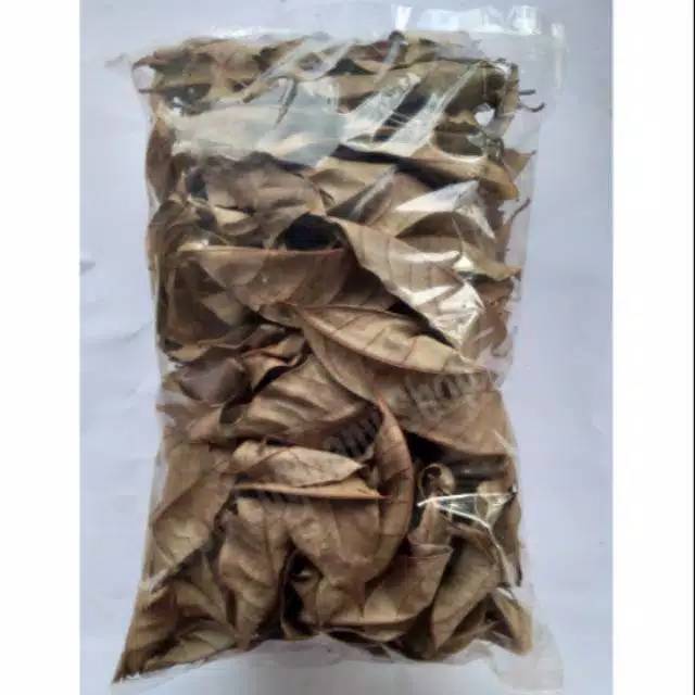 

Daun Pala Kering Pilihan Kualitas Terbaik 100 gram