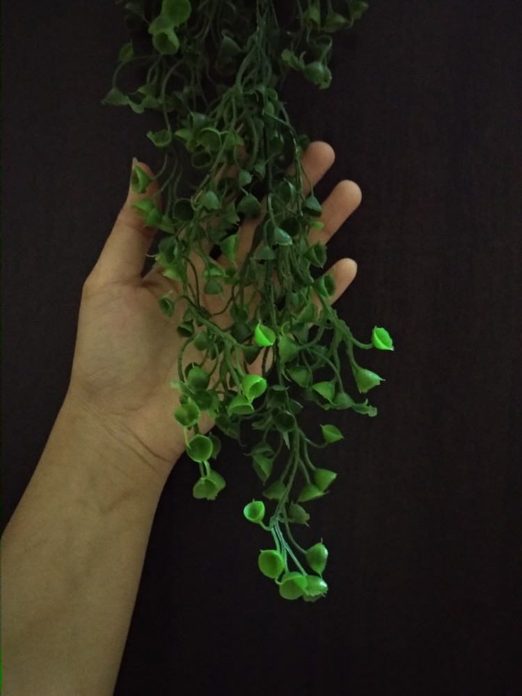 Turus Lumut 70cm Best Seller Harga Murah