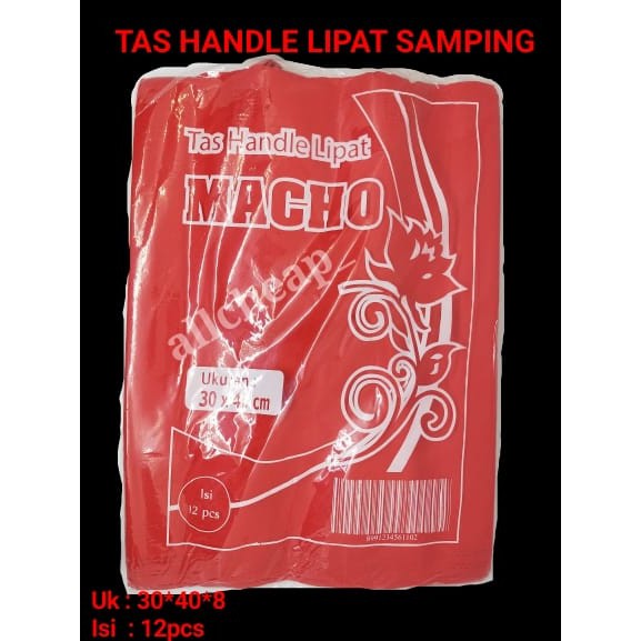 12pcs TAS KAIN HANDLE LIPAT SAMPING GASSET GOODIE BAG SPUNBOND 30x40