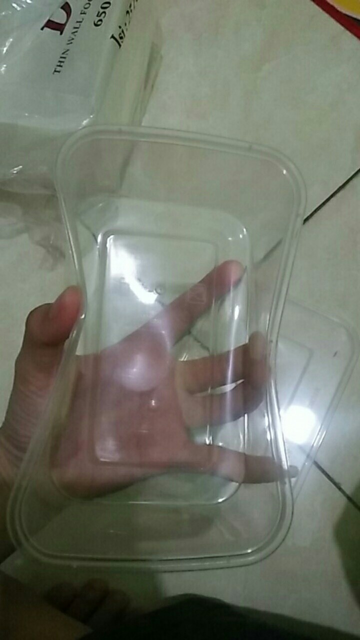Kotak Makan Tahan Microwave | Thinwall 650ml Food Container | Tempat Kotak Makanan Plastik