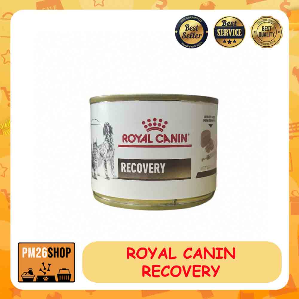 Makanan Anjing Kucing Cat Dog Food Royal Canin Recovery