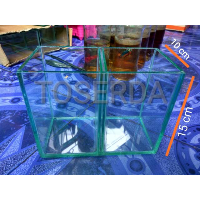 Akuarium Ikan Cupang 2 Kamar Akuarium Ikan Cupang Sekat 2 Aquarium Mini