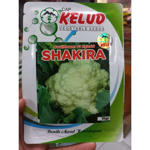 Benih Bunga Kol Shakira F1 Hybrid Kemasan 10 gr