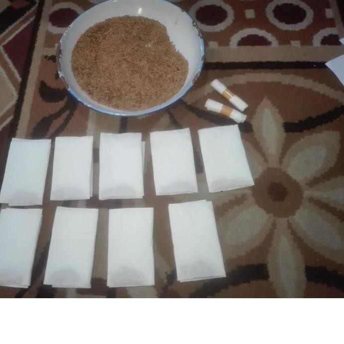 11.11 Sale  biji bonsai anting putri (isi 100 biji) //