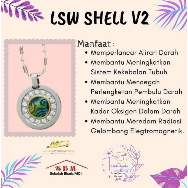 LSW shell mci