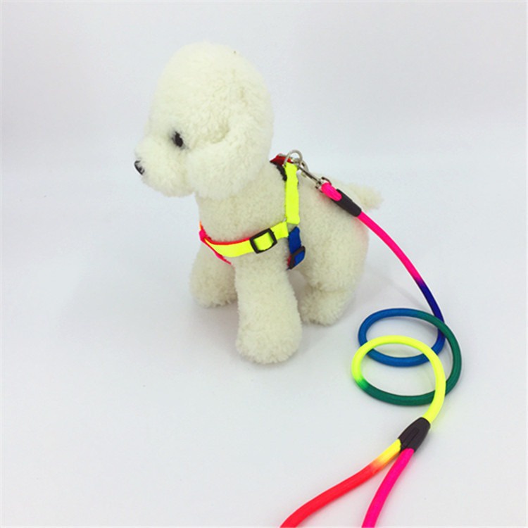 Harness Dada Harness Foam Handle Pelangi Anjing dan Kucing