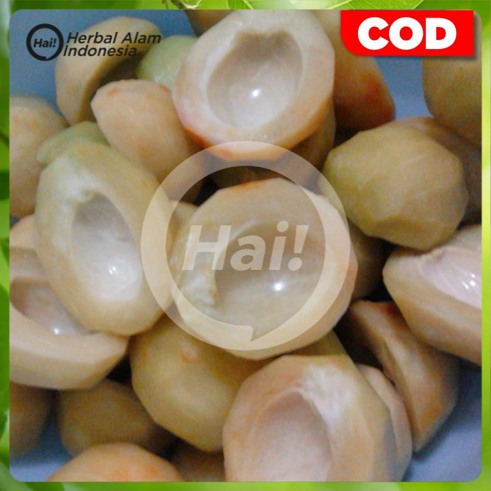 

DAGING BUAH PALA SEGAR 1 KG
