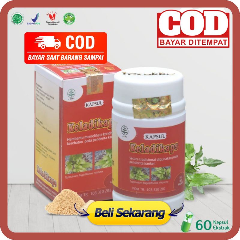 KAPSUL KELADIKAPS Tazakka Ekstrak Keladi Tikus Keladikap Obat Herbal Kanker Ganas Kangker & Tumor