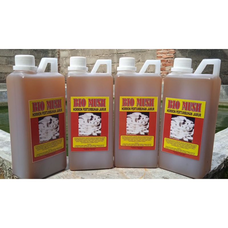 

PUPUK JAMUR TIRAM