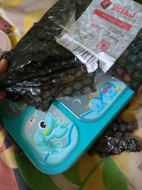 Lunch Box Kotak Tempat Makan Yooyee Anti Tumpah Sekat 6 589