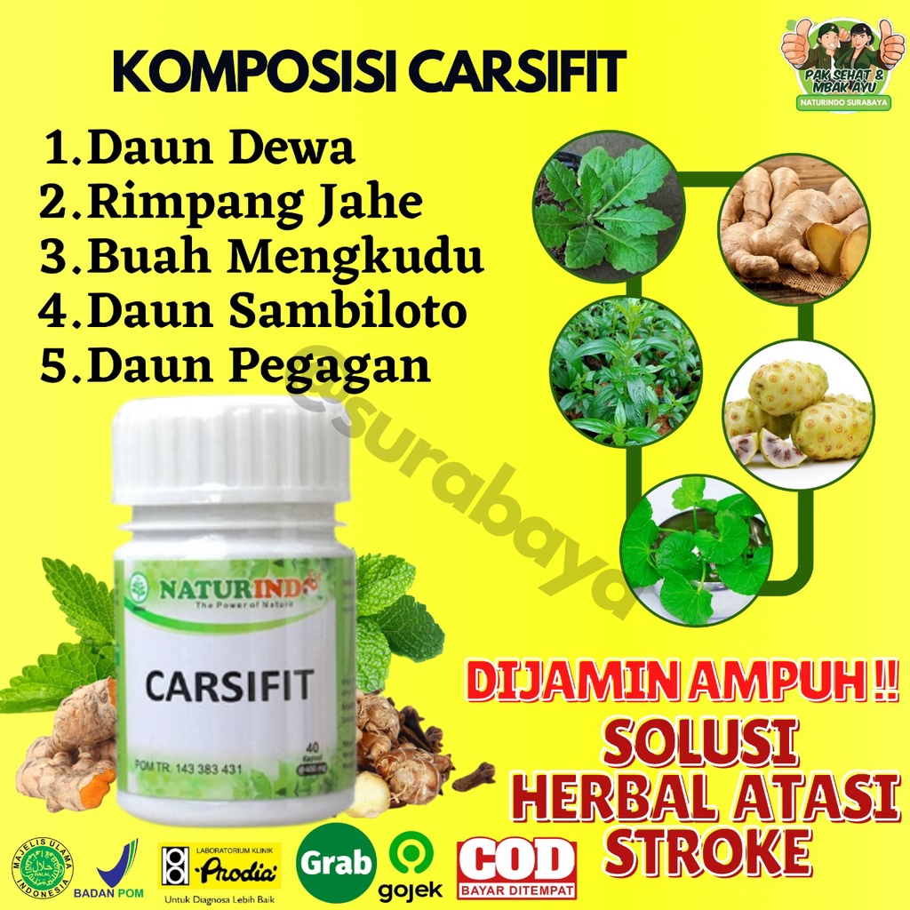 Obat Stroke Ampuh Obat Struk Stroke Ringan Strok Menahun Lumpuh Separo Sebelah obat herbal Paska stroke gejala sulit bicara kaku tangan kaki serta saraf otak Herbal Sambiloto Ampuh Jamu Herbal Strok Lumpuh Tradisional Carsifit Naturindo Surabaya 40 Kapsul-2