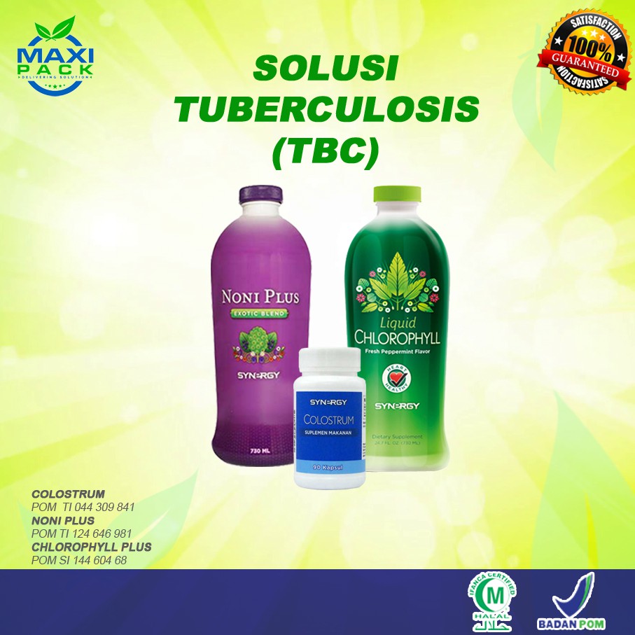 Maxipack Paket Herbal Tuberkulosis (TBC) 100% ASLI