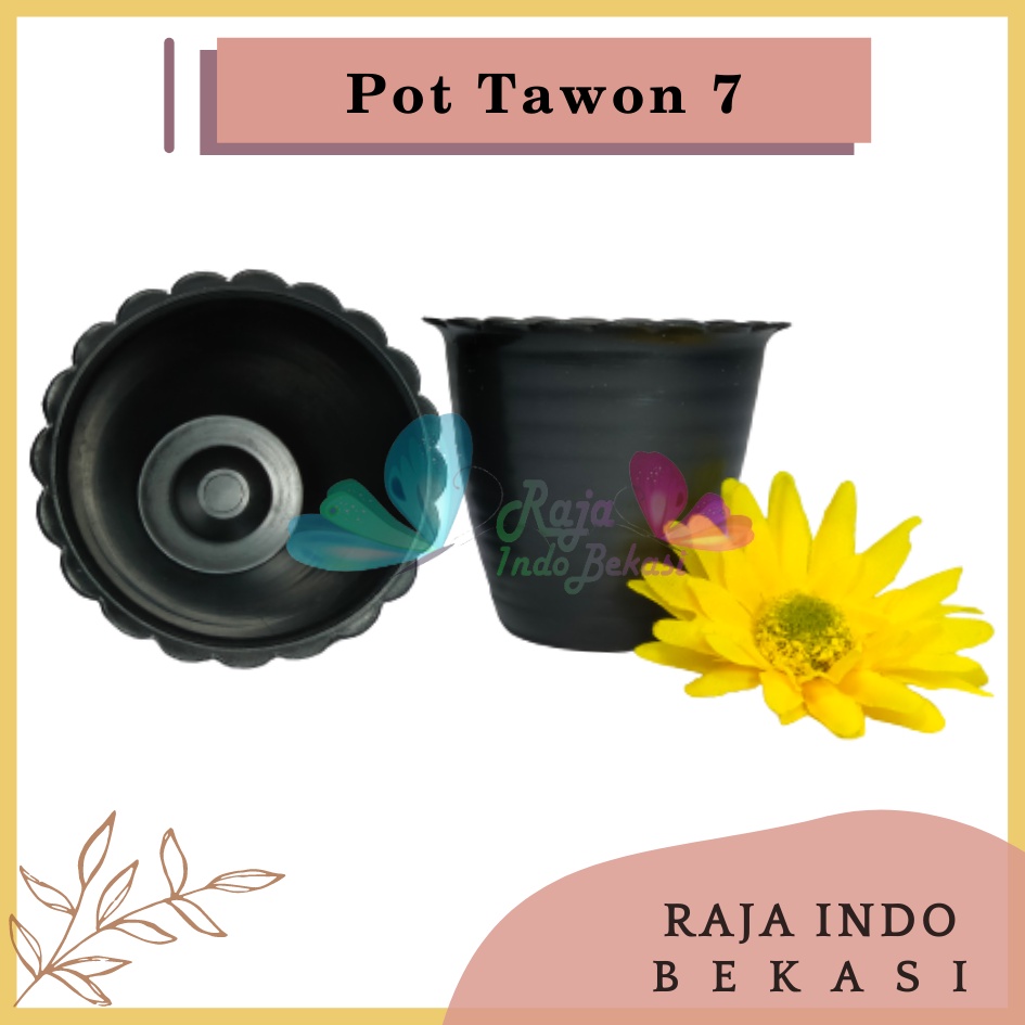 Pot Tawon 7 Hitam 7.5 Cm By Garden Of Love Pot Bunga Plastik Mini Lucu Vas Bunga Kaktus Kecil