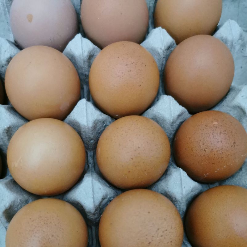 

telur ayam negri 1 kg