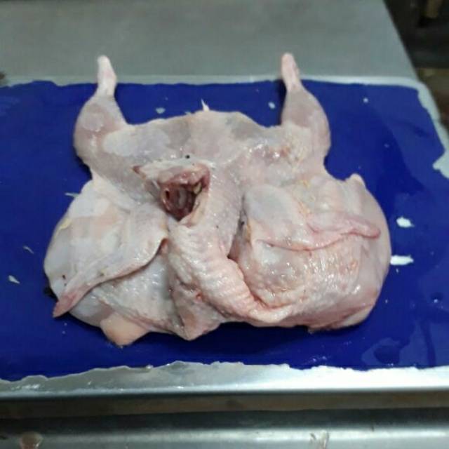 

Burung puyuh