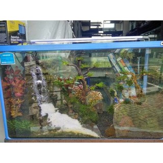 Tebing Air  Terjun untuk  aquascape  tinggi 20cm Shopee 