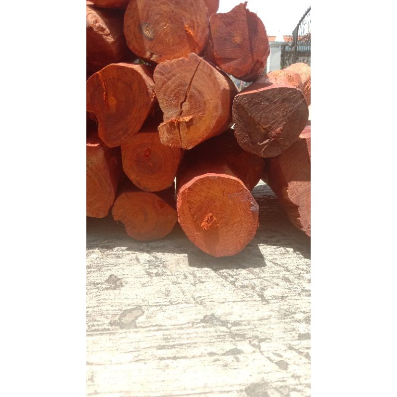 kayu secang 1kg / kayu secang galih / kayu secang asli/ kayu secang batangan /kayu secang glondongan