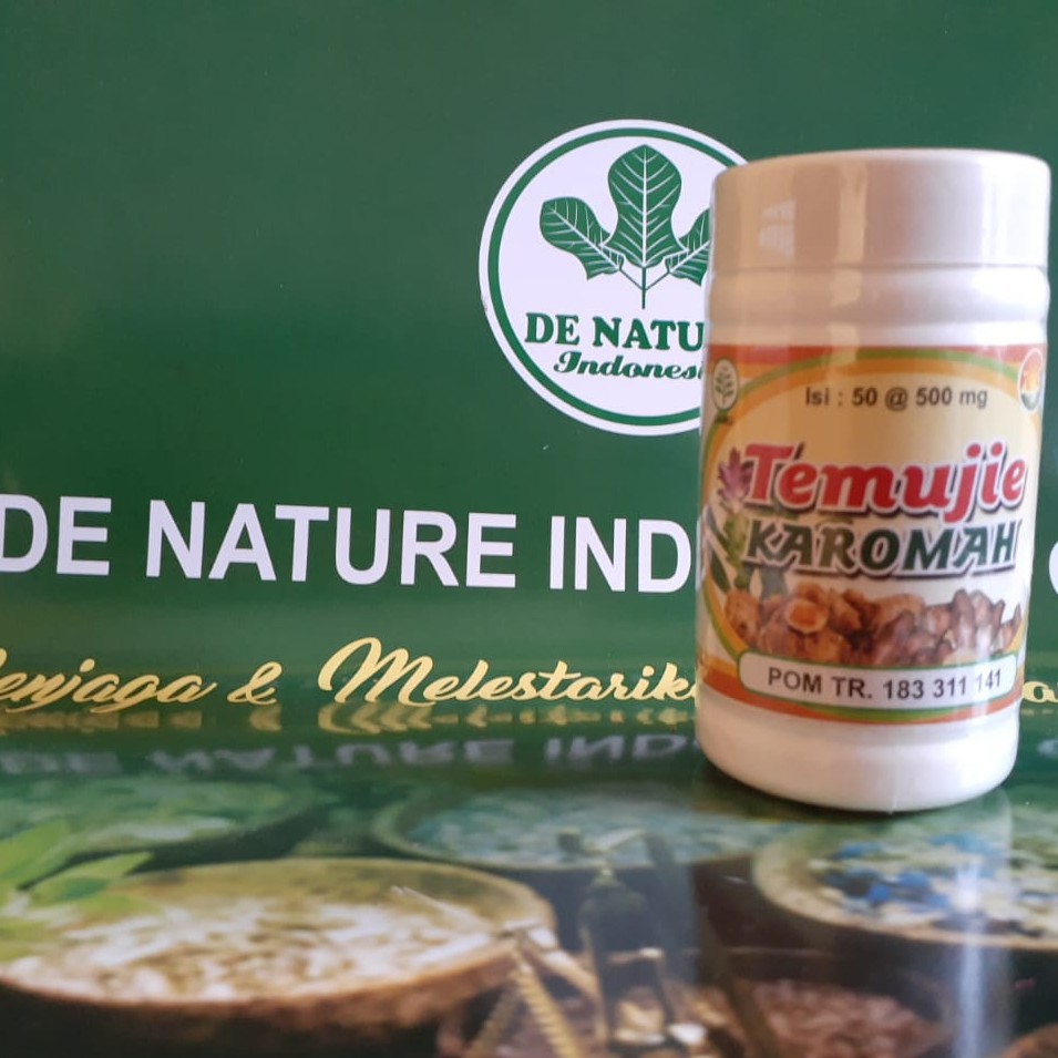 

LANGSUNG ORDER!! OBAT LIVER HERBAL TEMUJIE KAROMAH
