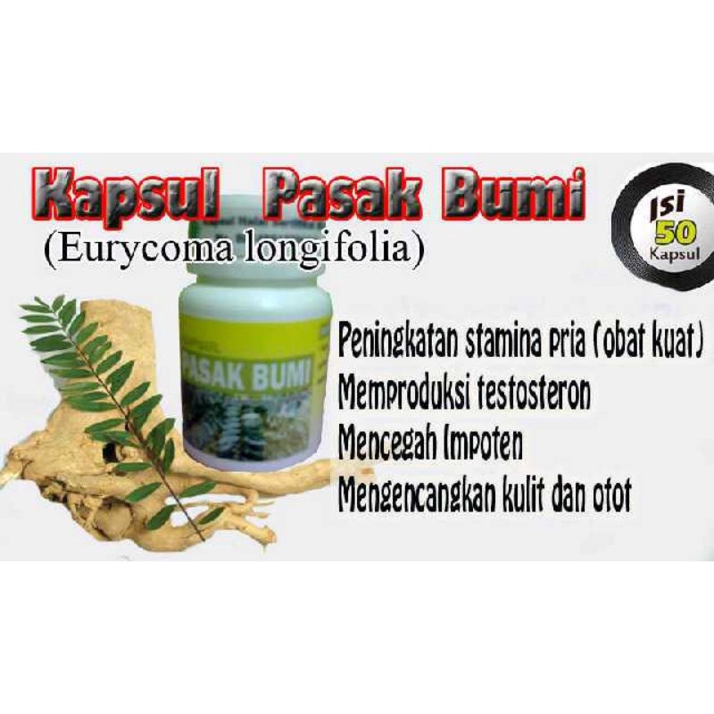 PASAK-BUMI Kapsul Obat Herbal Pembangkit Libido Kuat Pria Tahan Lama
