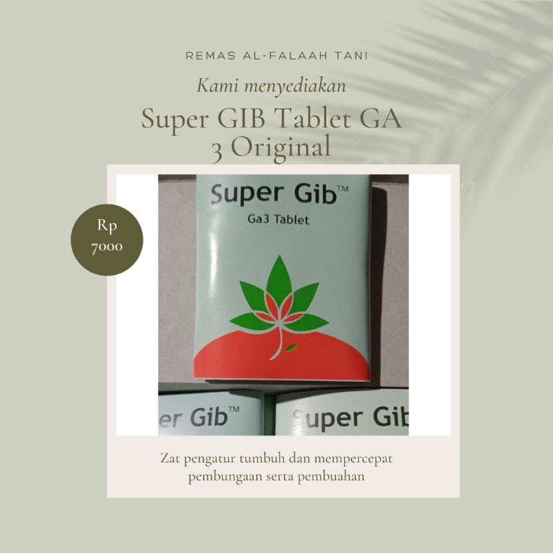 Super GIB GA3 Tablet
