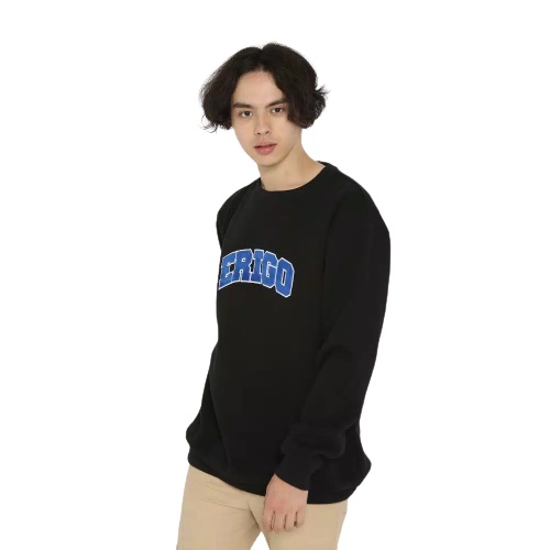 Sasuke.id &gt; CREWNECK BORDIR / Sweater ERIGO BAHAN LEMBUT Flecee Kasual pria wanita