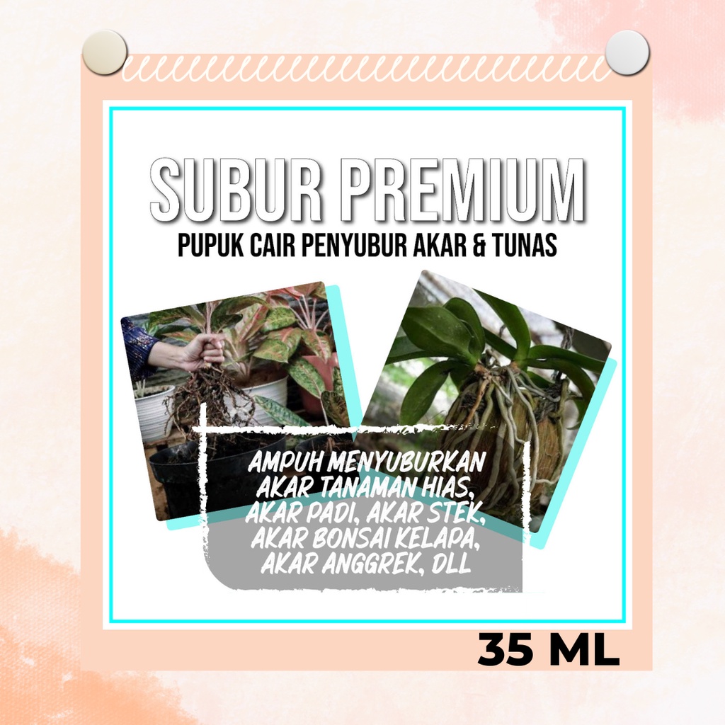 JUAL  Spray Pupuk Cair Penyubur AKAR & TUNAS 35 ML MURAH AMPUH Produk Hormon Akar Perangsang Akar Da