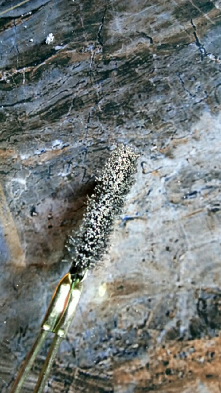 Sikat Kawat Gagang Besi Lurus Baja Multipro Uhb-01 / Uhb01 Universal Hand Brush Seperti Union