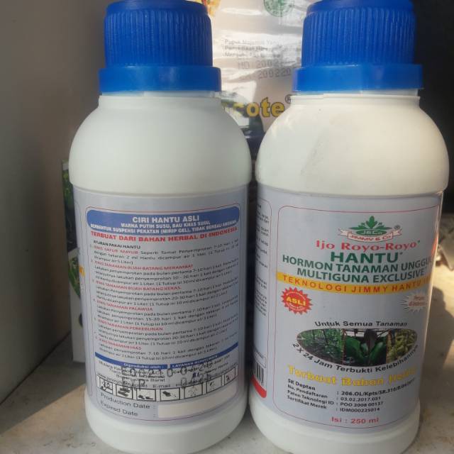 HANTU IJO ROYO multiguna