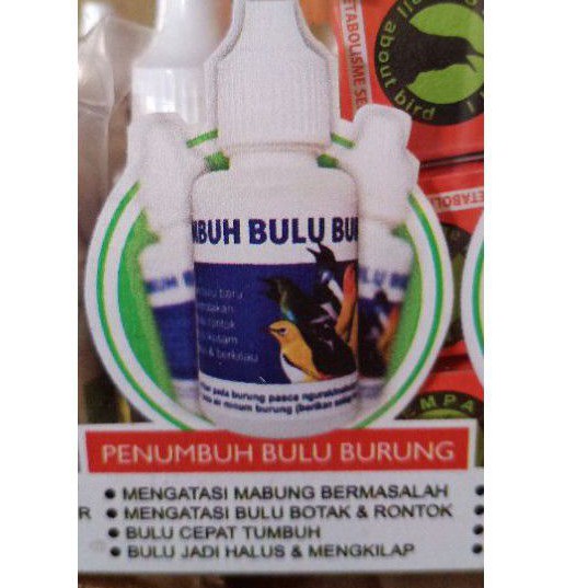 penumbuh bulu burung mabung ngurak bermasalah obat sempati
