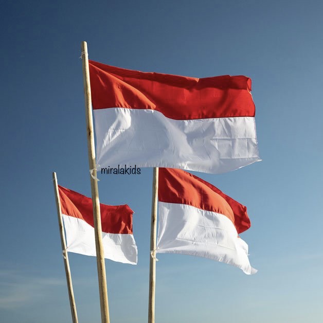 

Bendera Merah Putih - Dekorasi Agustusan Atribut Kemerdekaan Indonesia
