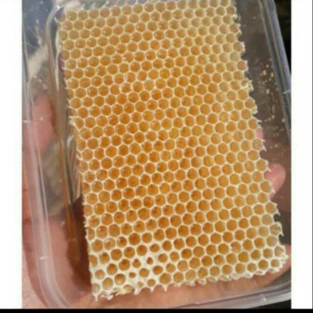 Sarang Lebah Madu Shopee Indonesia