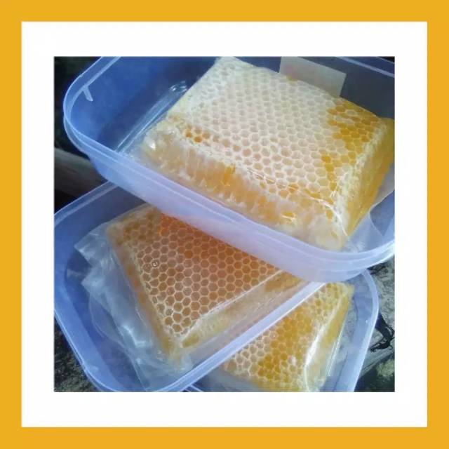 MADU SARANG ORIGINAL MADU SARANG ASLI SARANG MADU AALI HONEY COMB MADU MURNI DENGAN SARANG 100 GRAM