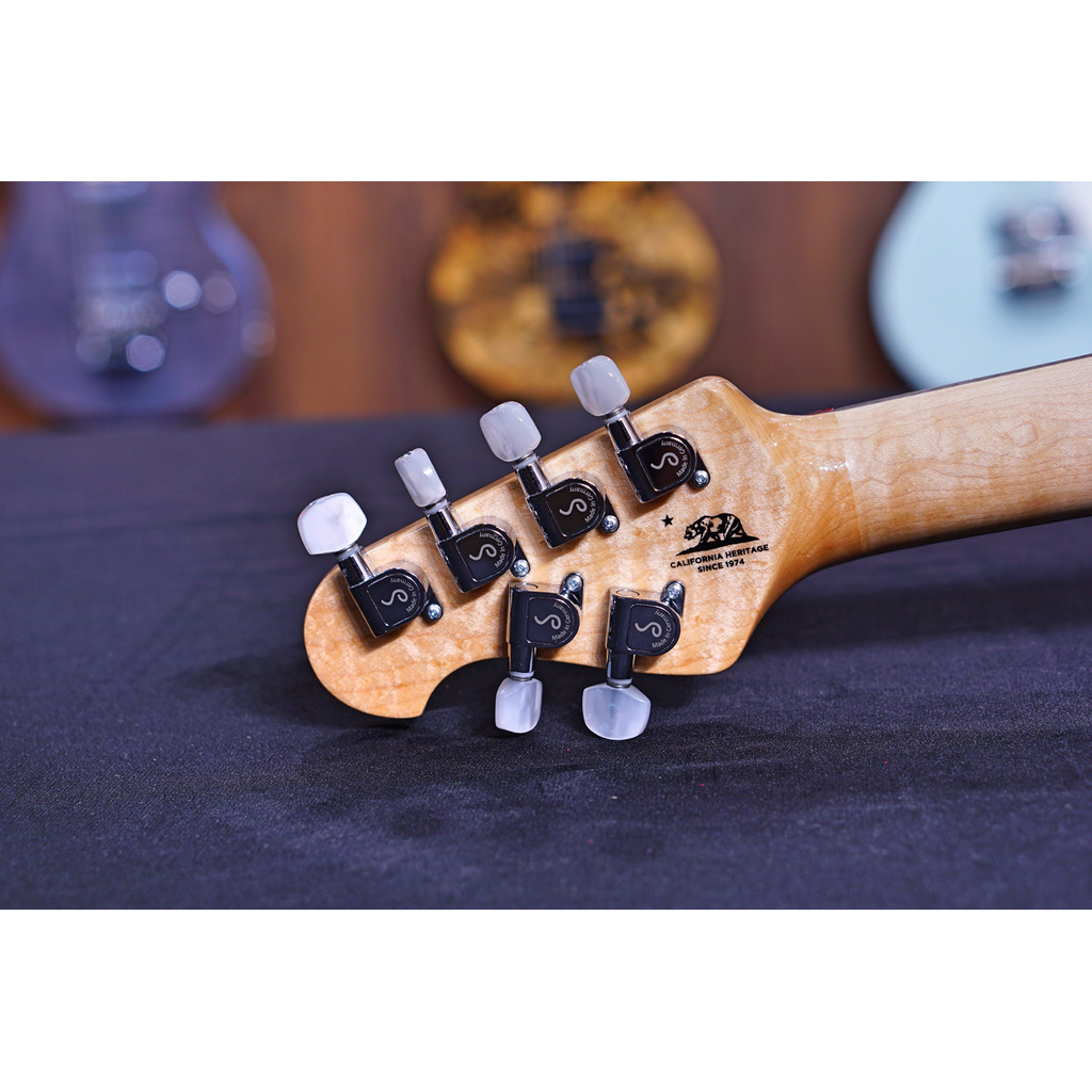 Axis - Trans Gold Flame - Rosewood Matching Headstock G95091